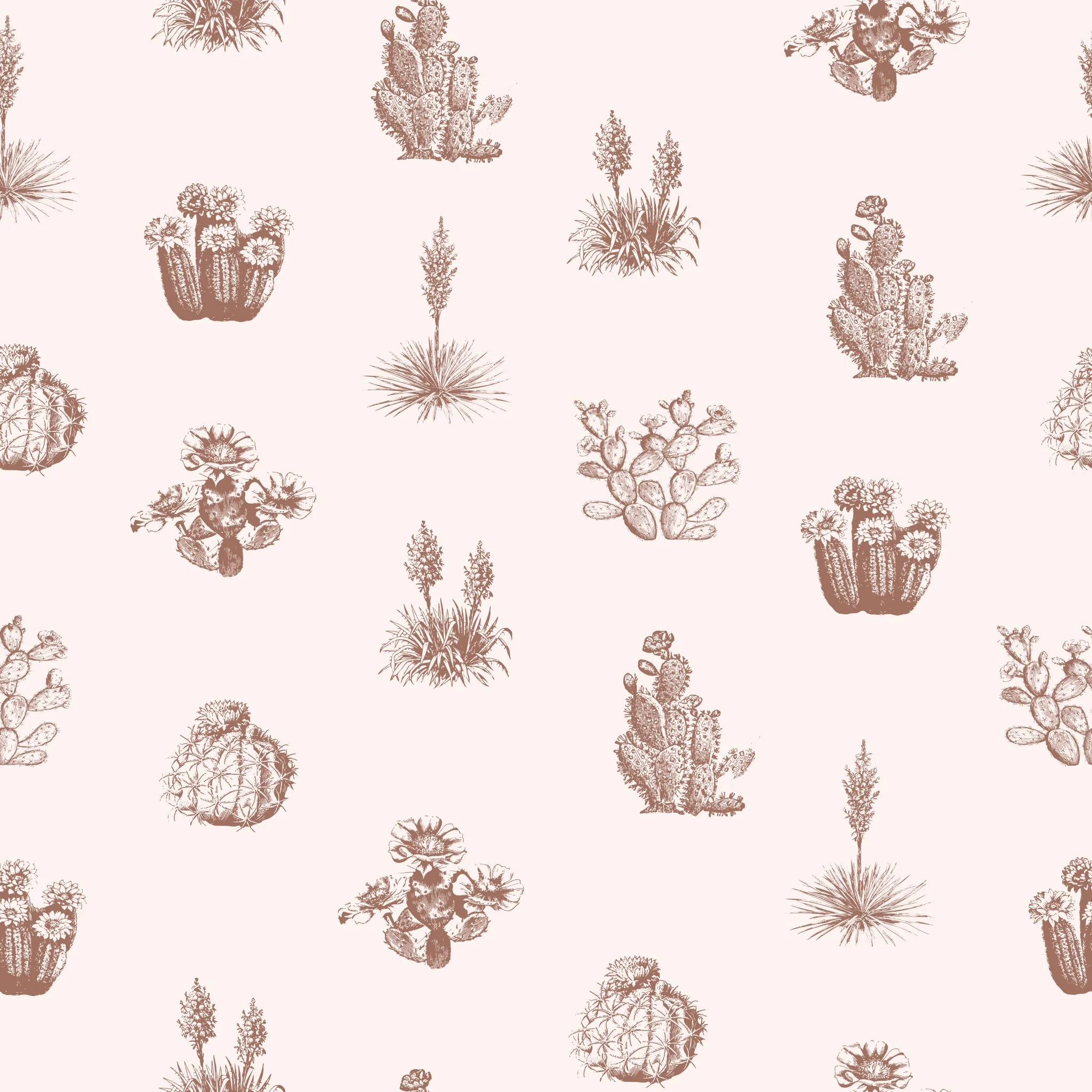 Desert Cove Wallpaper