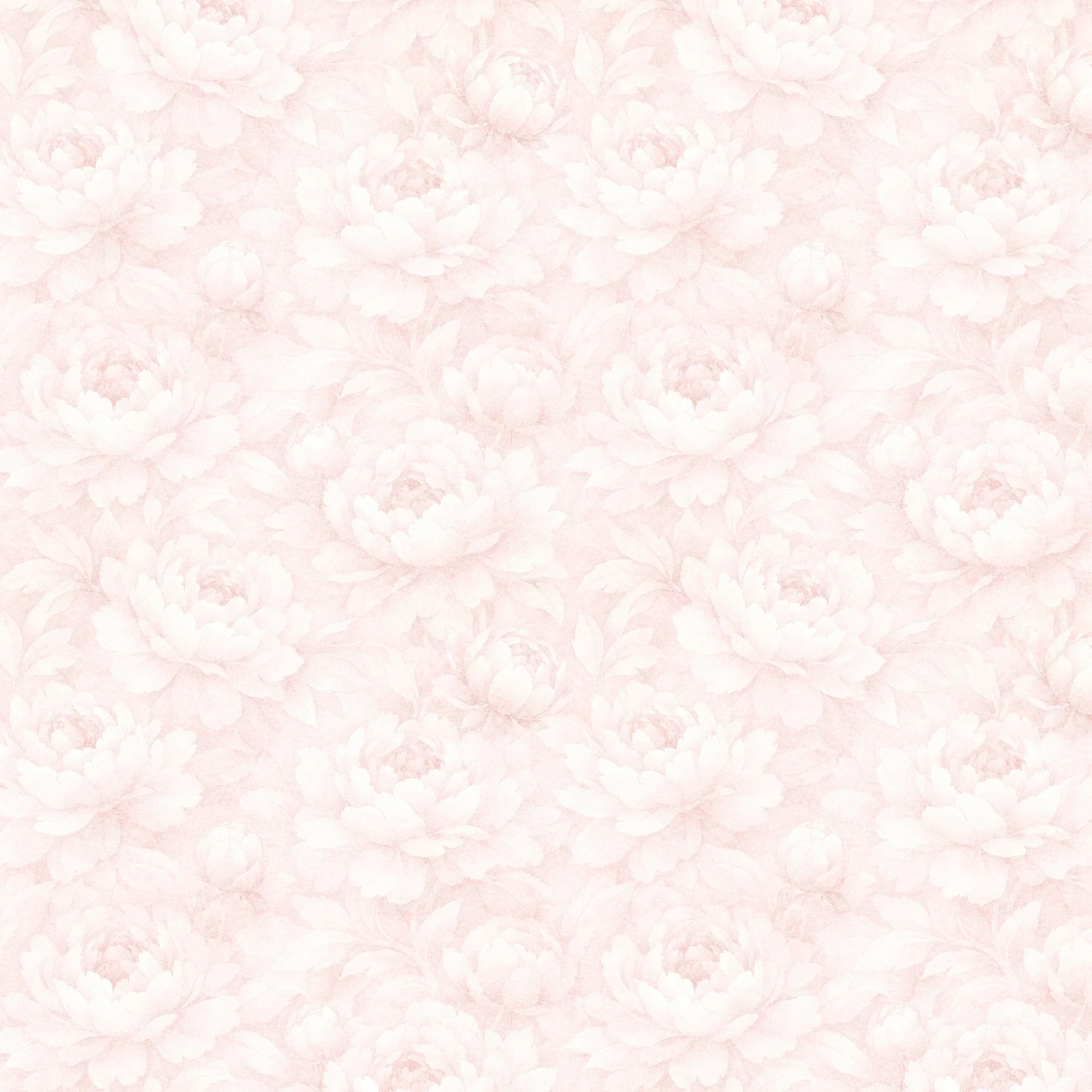 Peony Whisper Wallpaper